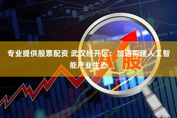 专业提供股票配资 武汉经开区：加速构建人工智能产业生态