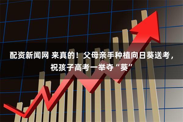 配资新闻网 来真的！父母亲手种植向日葵送考，祝孩子高考一举夺“葵”